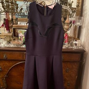 NWOT Ted Baker skater dress w/ mesh accent. Navy blue Ted sz 2